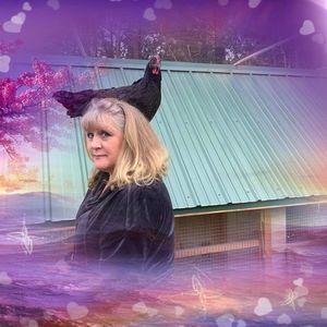 Meet your Posher, Darlene